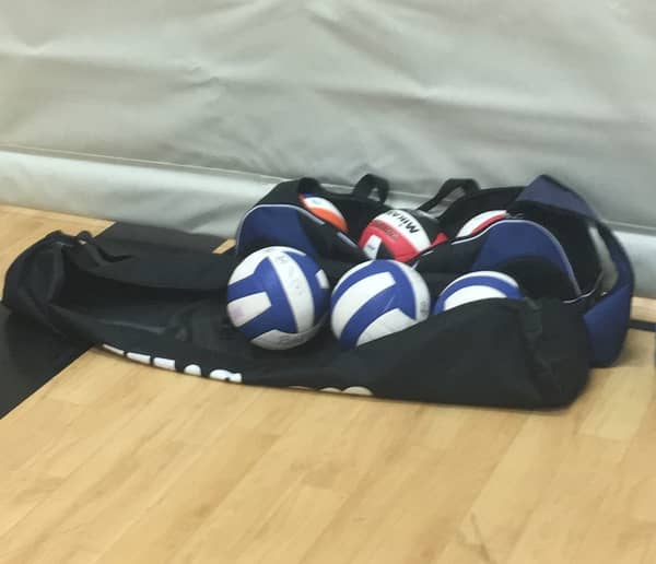 volleyballs in ball bag