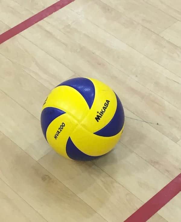 Indoor Volleyball Ball Pro Rec Athlete