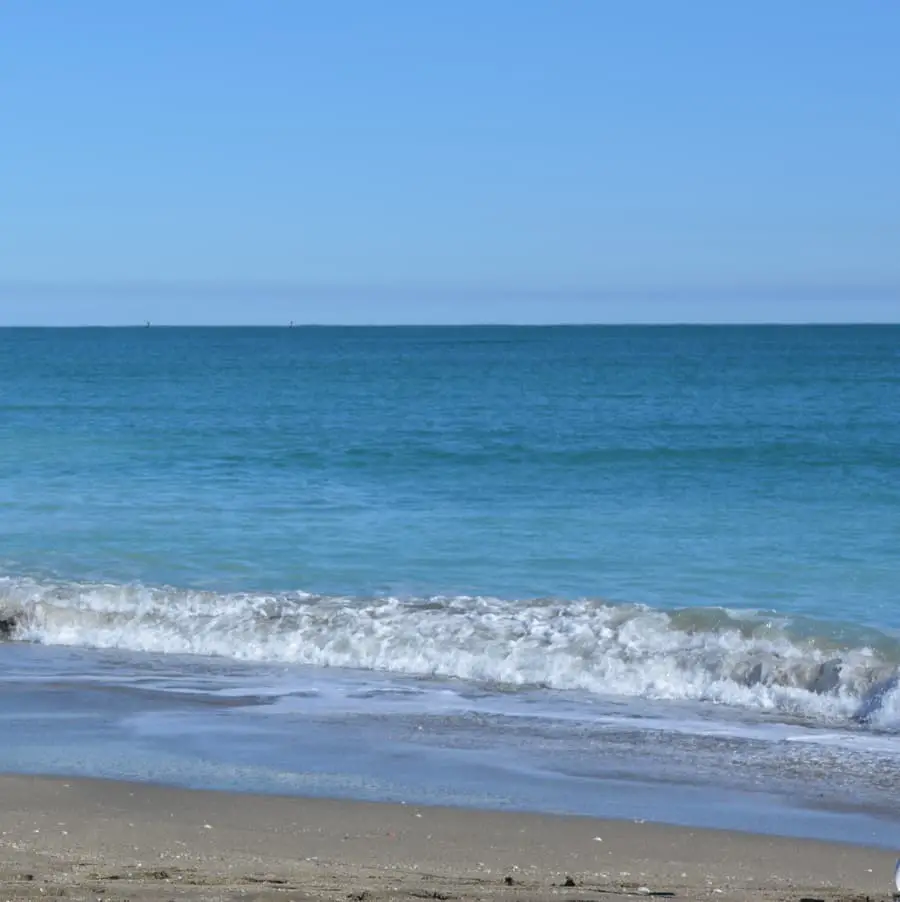 beach shoreline with waves gently rolling in and turquoise water