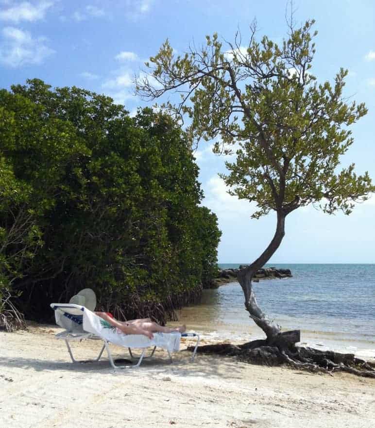 woman lying on deck chair on the beach under a tree
