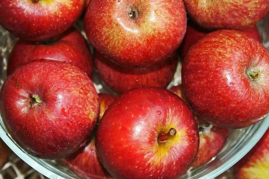 bowl of red apples