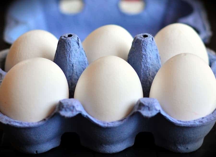 white eggs in a carton