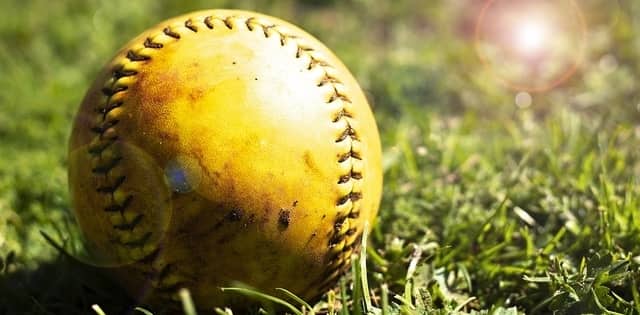 A softball on the grass